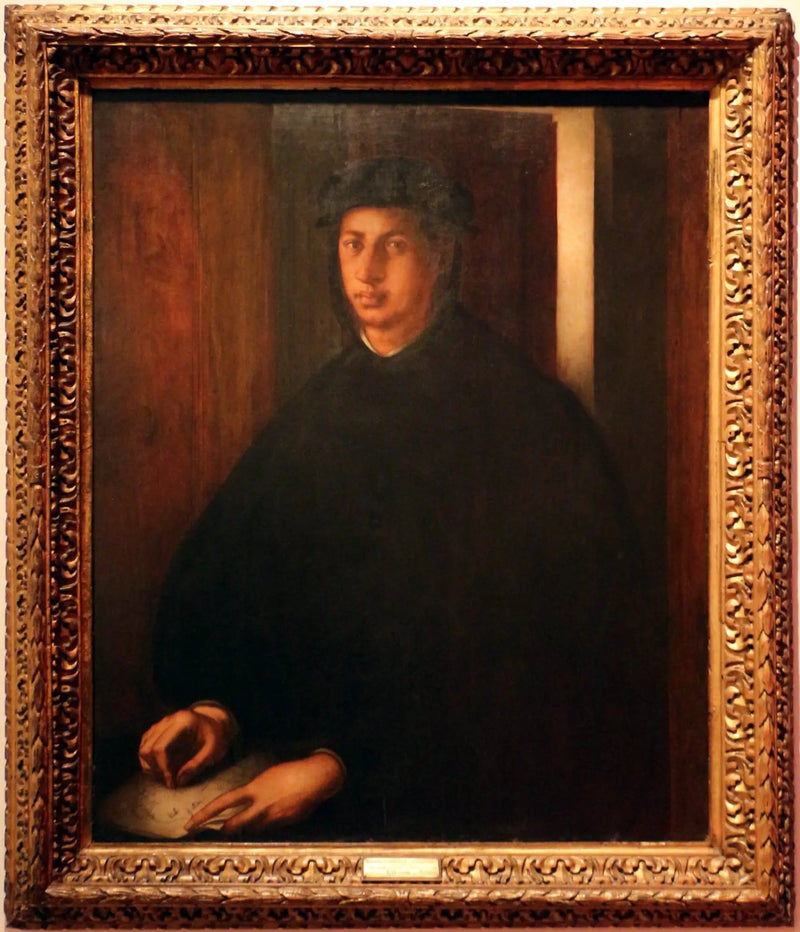 Alexandre de Médicis Portresi - Pontormo
