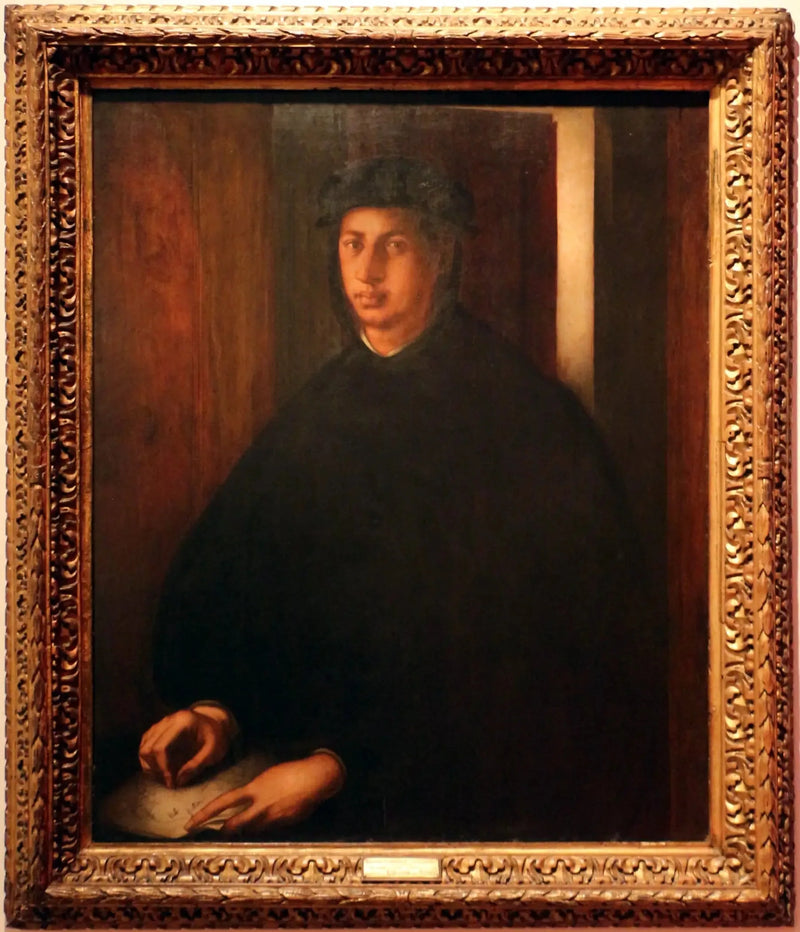 Alexandre de Médicis Portresi - Pontormo