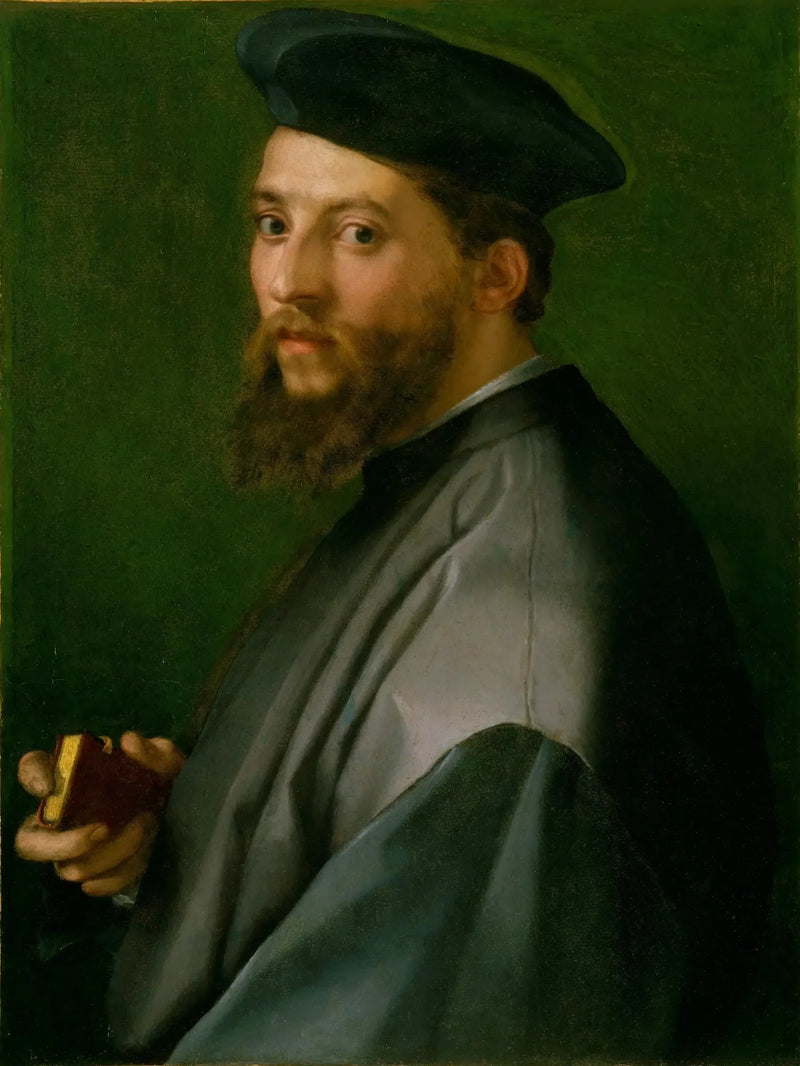İnsan Portresi - Andrea del Sarto