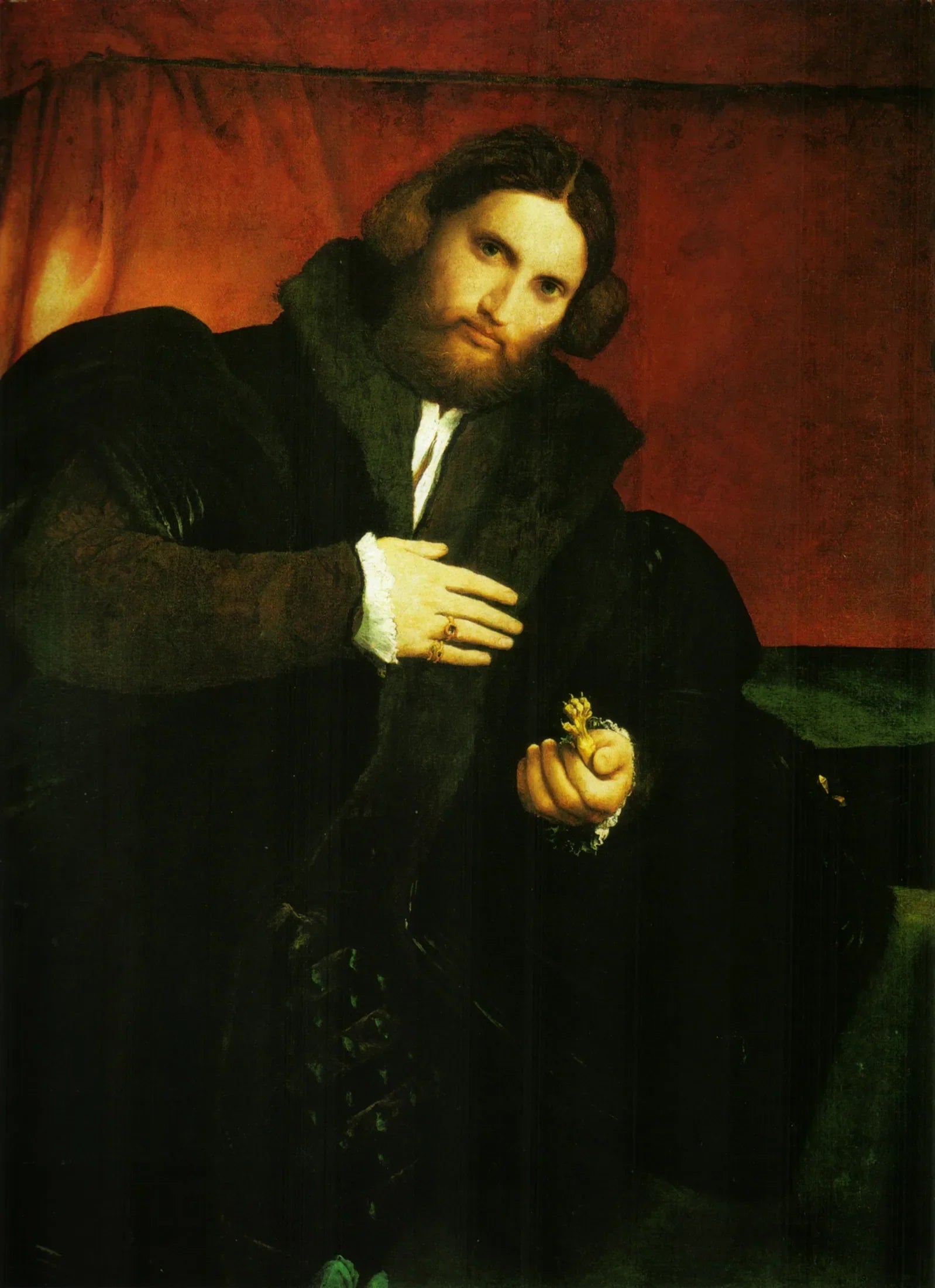 Portrait d'un gentilhomme à la patte de lion - Lorenzo Lotto image 1 tableau peint à l’huile sur toile