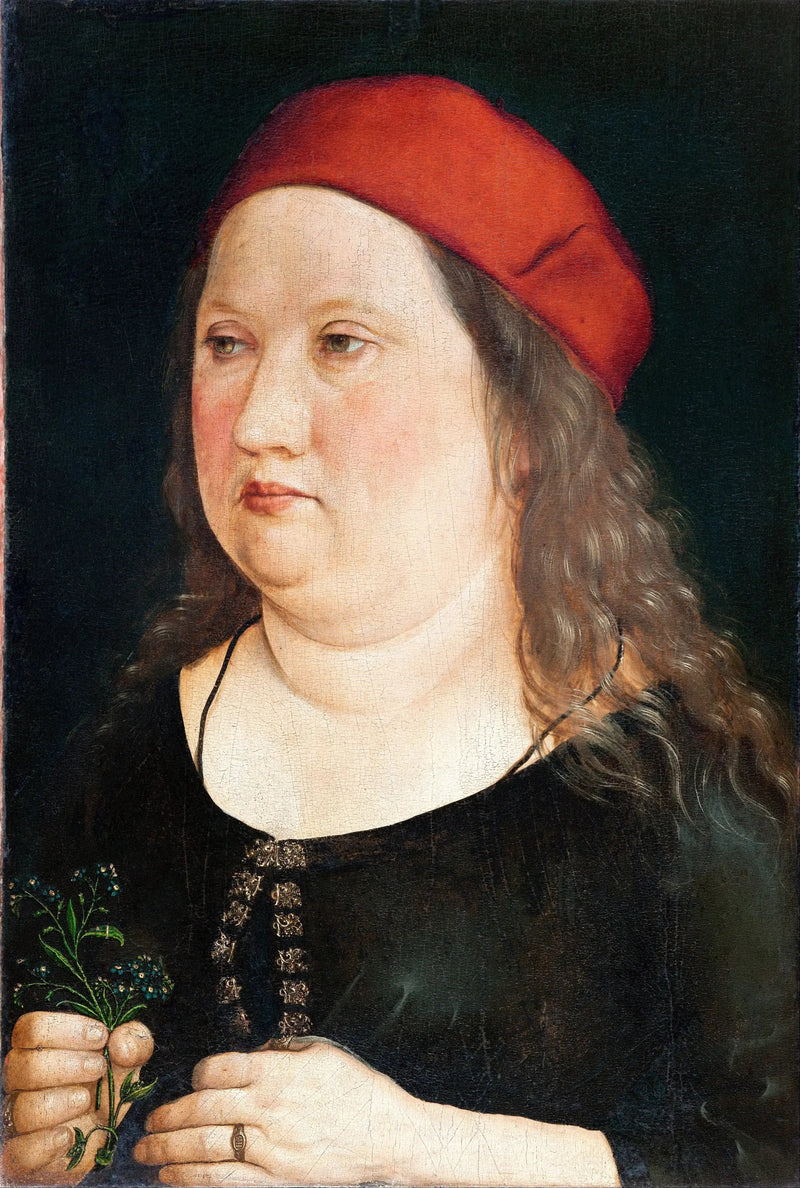 Bir Adam Portresi - Albrecht Dürer