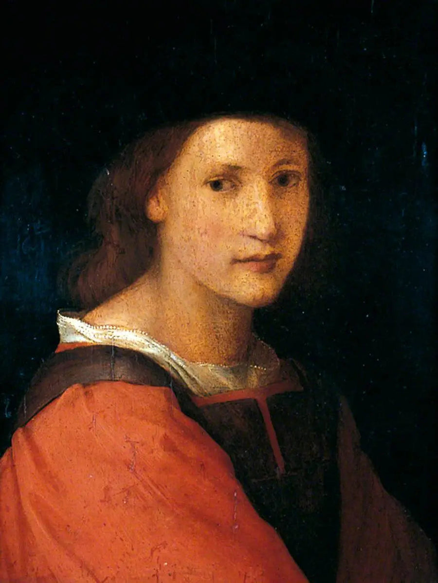 Genç Birinin Portresi - Andrea del Sarto