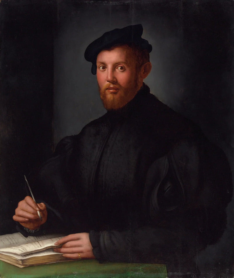 Siyah giysili genç bir adamın portresi ve bir kitap - Bronzino