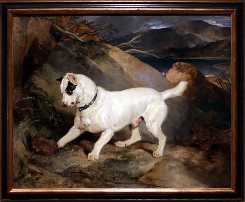 Owen Williams, ESQ.'nin mülkiyetinde bir terrier portresi (Jocko ve bir kirpi ile) - Edwin Henry Landseer