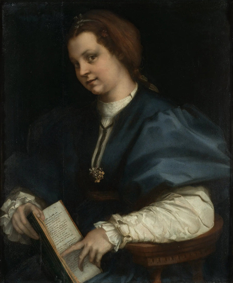 Bir Hanımefendinin Portresi - Andrea del Sarto