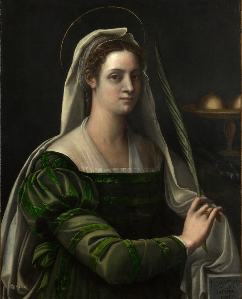 Azize Agatha'nın özelliklerine sahip bir kadının portresi - Sebastiano del Piombo