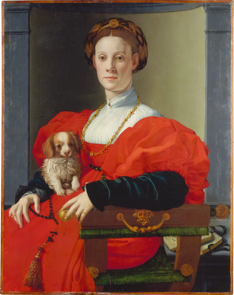 Bir kadın portresi ve evcil köpeği - Bronzino