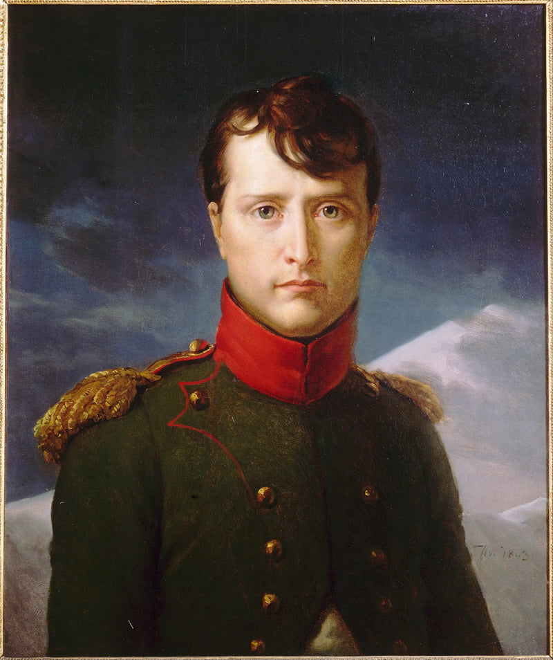 Bonaparte Portresi, Birinci Konsul - François Gérard