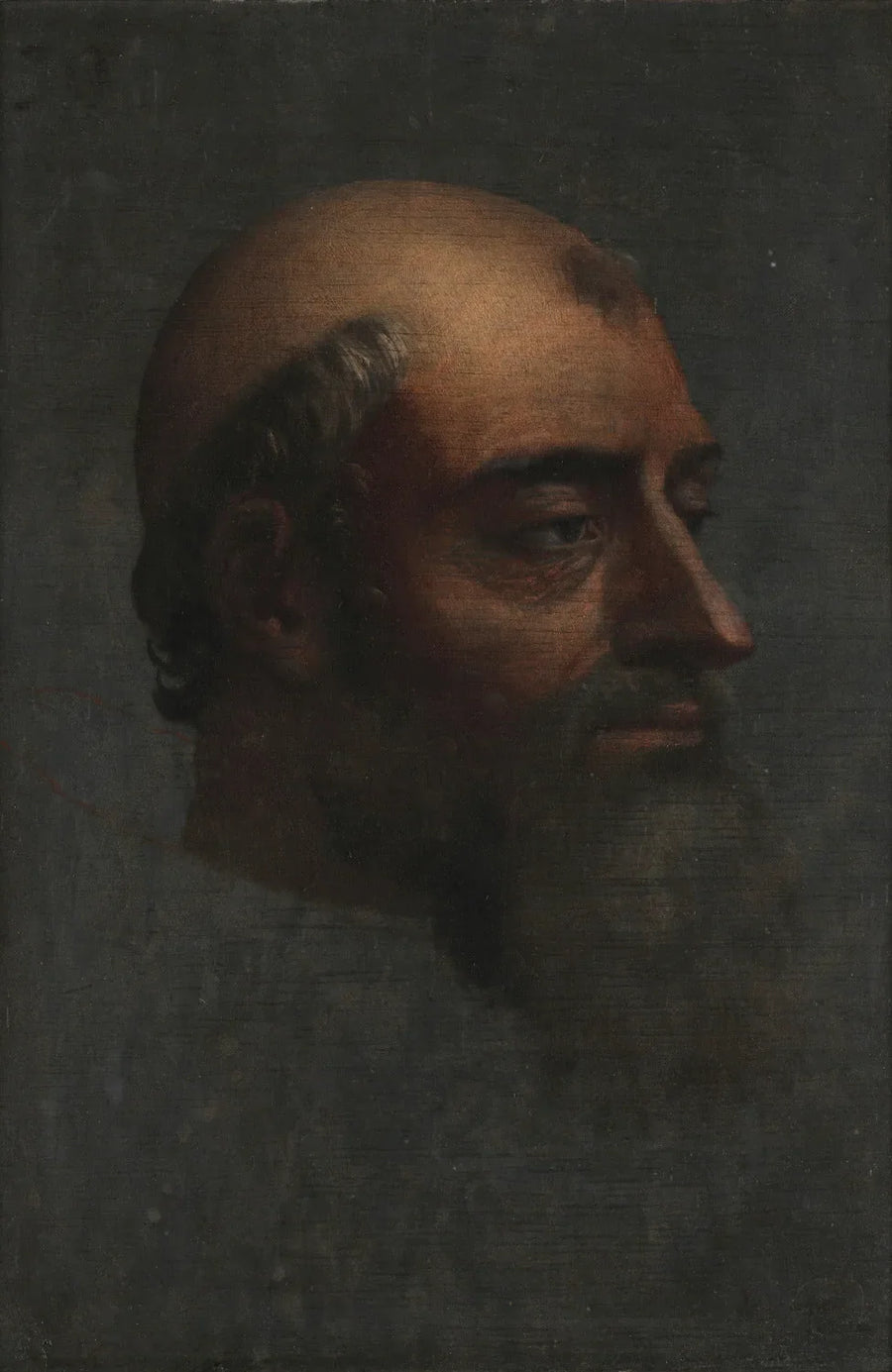 Clément VII Portresi Sakallı - Sebastiano del Piombo