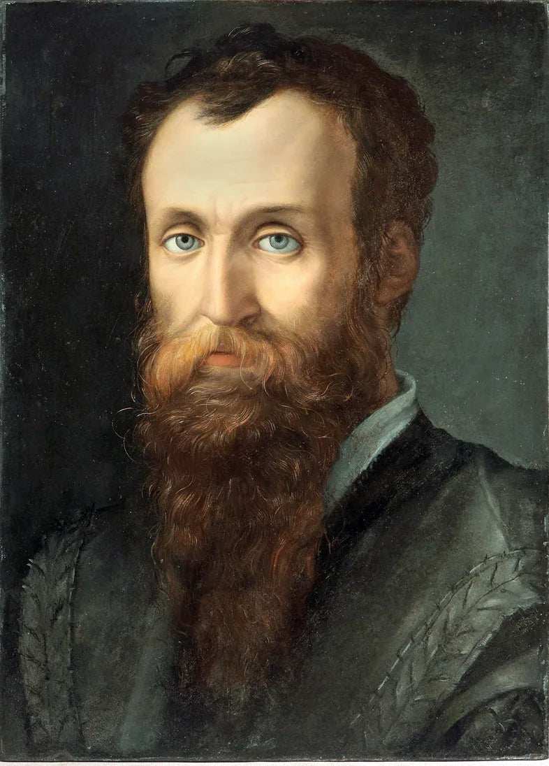 Luca Martini Portresi - Bronzino