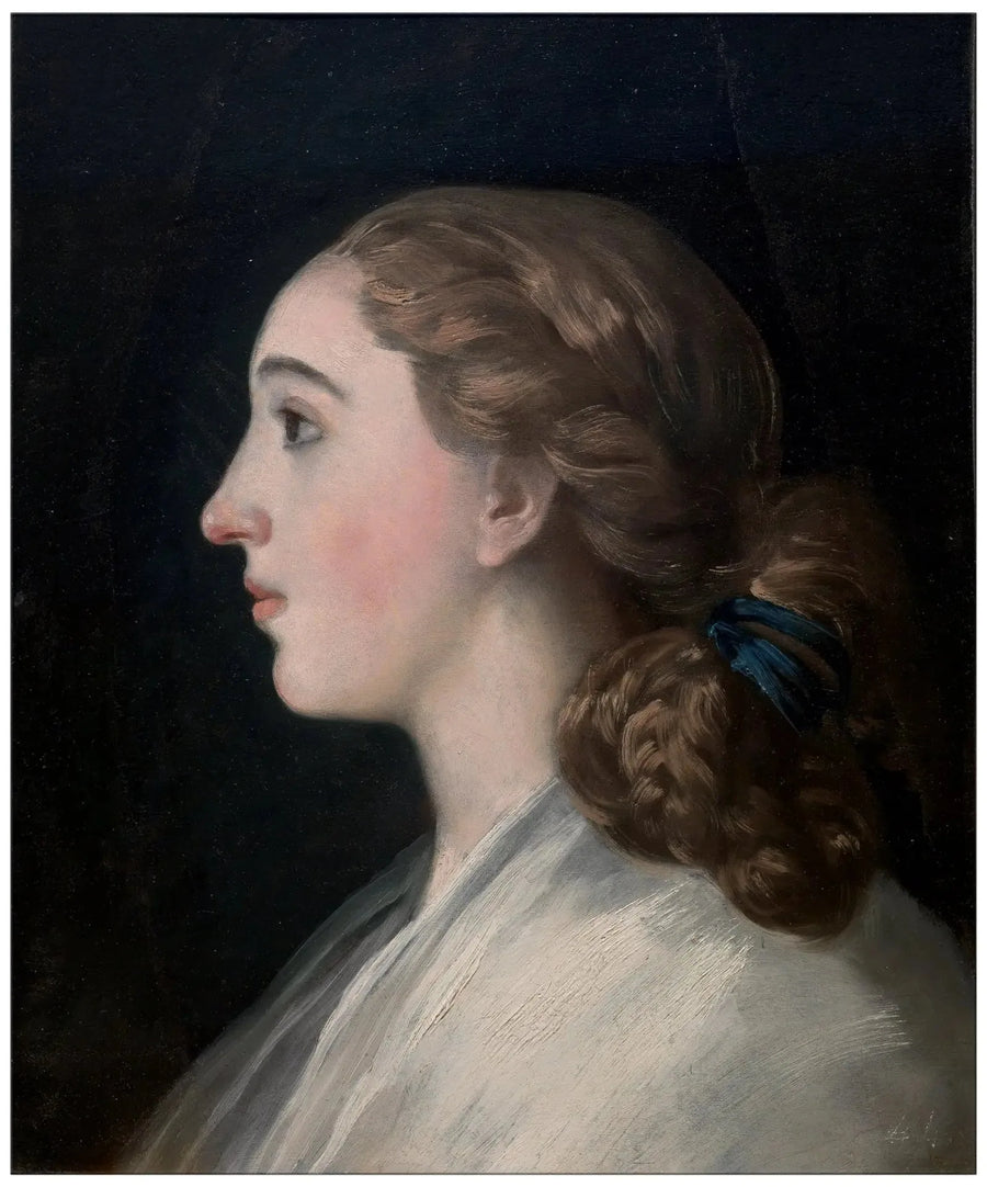 María Teresa de Vallabriga Portresi - Francisco de Goya
