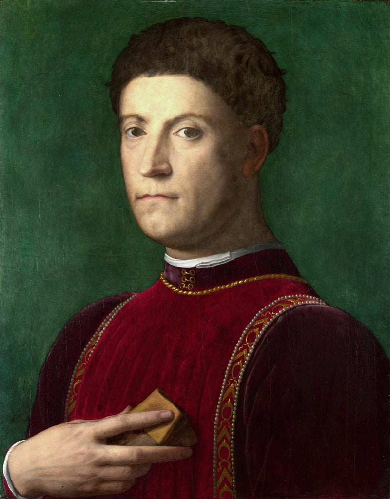 Piero de' Medici Portresi - Bronzino