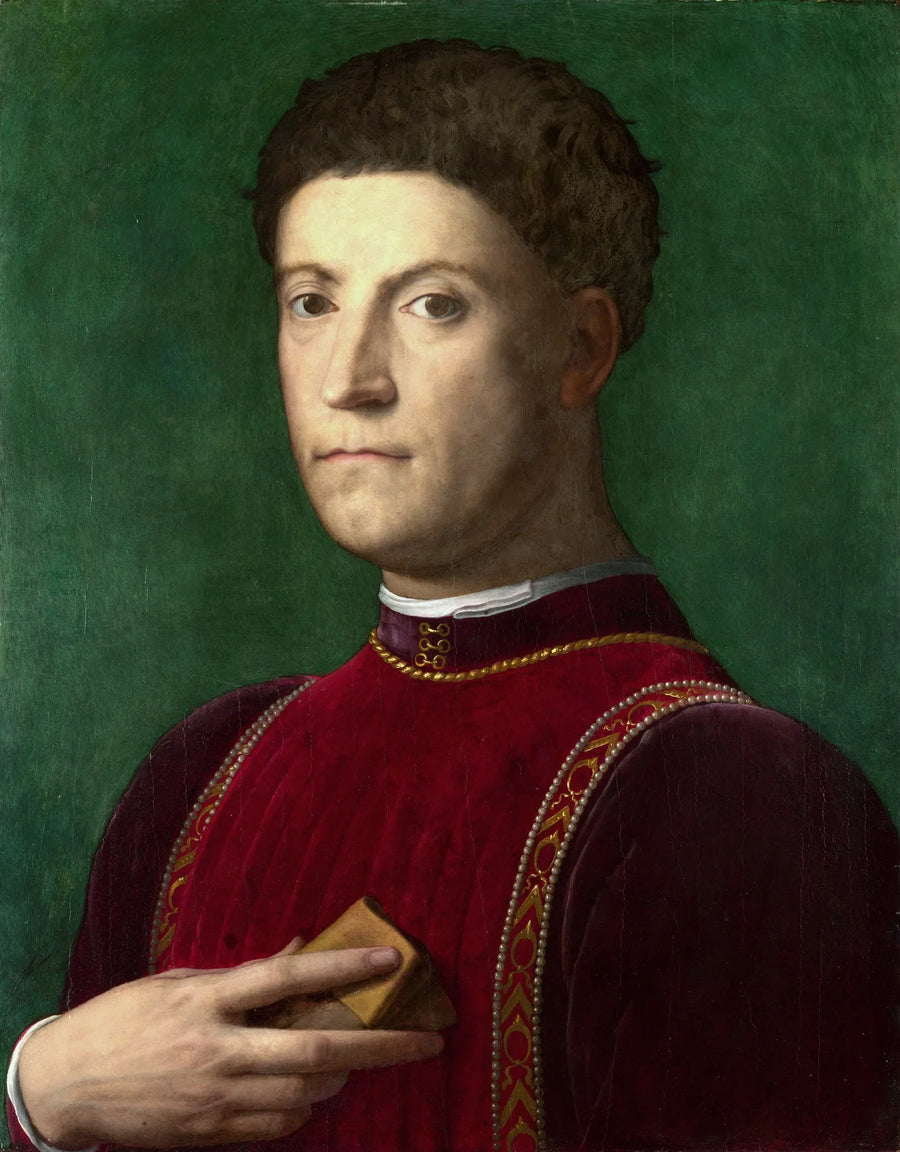 Piero de' Medici Portresi - Bronzino