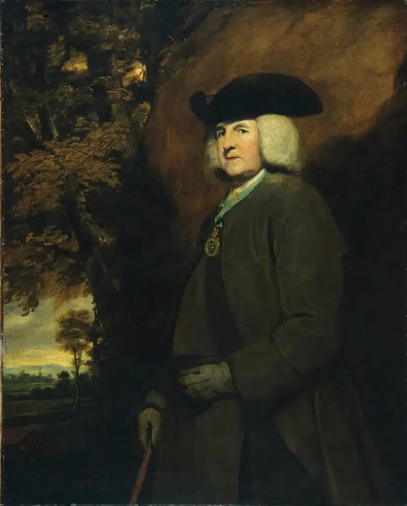 Richard Robinson Portresi - Joshua Reynolds