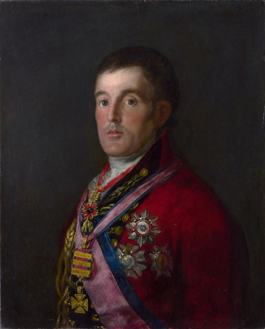 Wellington Dükü Portresi - Francisco de Goya