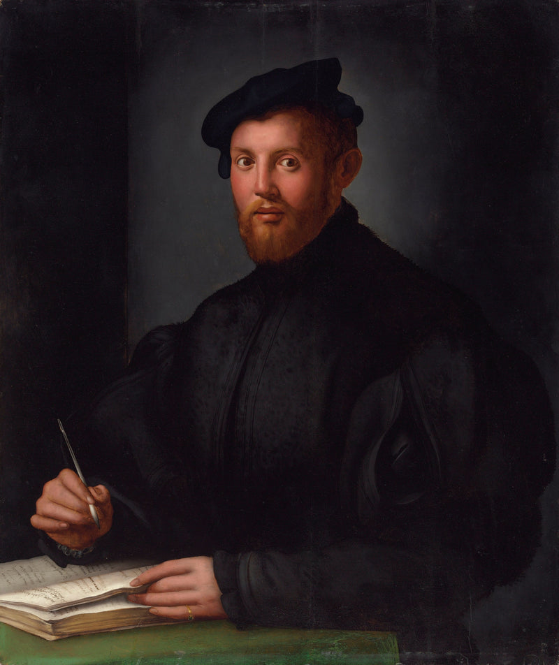 Siyah giysili genç bir adamın portresi ve bir kitap - Bronzino