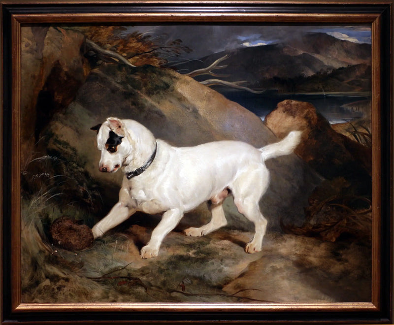 Owen Williams, ESQ.'nin mülkiyetinde bir terrier portresi (Jocko ve bir kirpi ile) - Edwin Henry Landseer