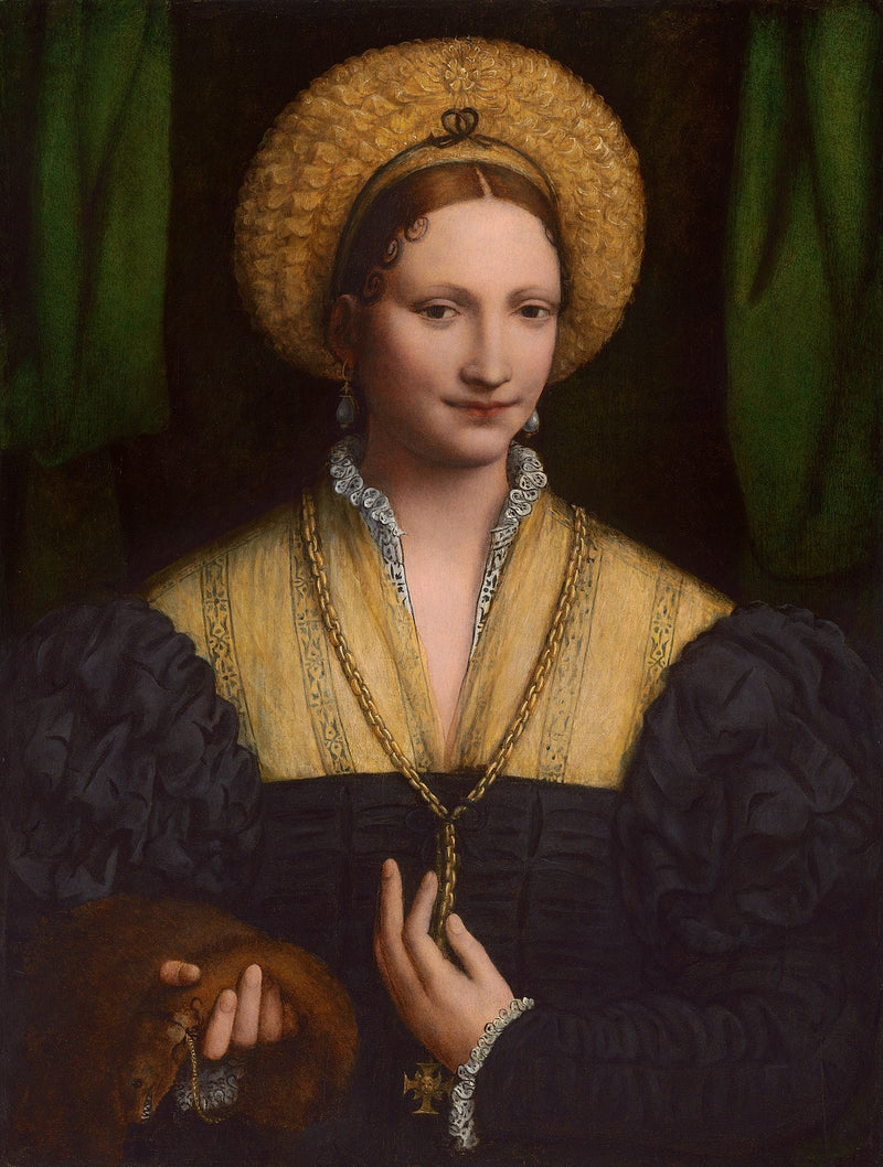 Bir Hanımefendinin Portresi - Bernardino Luini