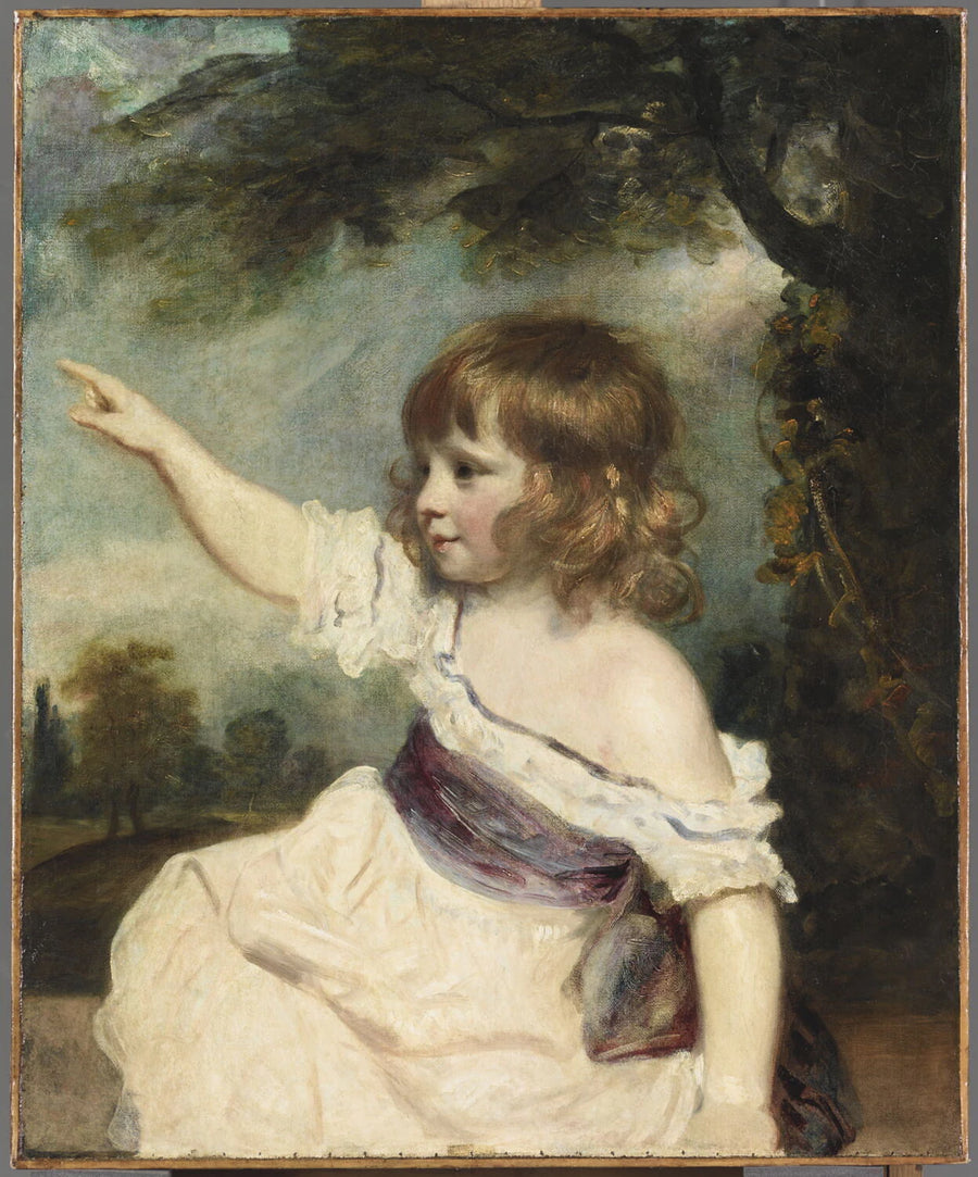 Portrait de Francis George Hare (1786-1842) dit Master Hare et aussi surnommé Enfance - Sir Joshua Reynolds