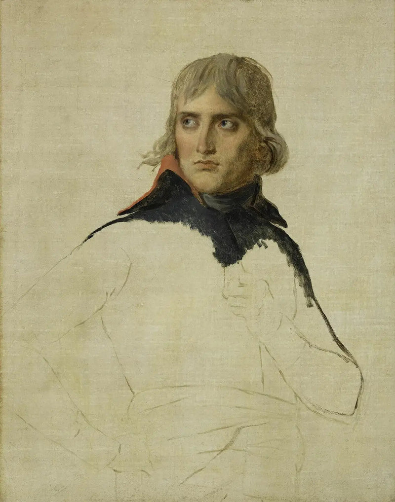 Bonaparte'ın Tamamlanmamış Portresi - Jacques-Louis David