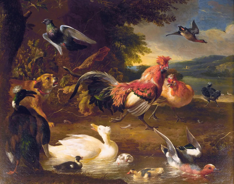 Tavuklar ve ördekler - Melchior de Hondecoeter