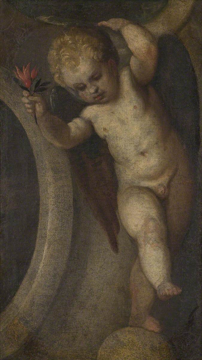 Putto avec une fleur rouge - Paul Véronèse