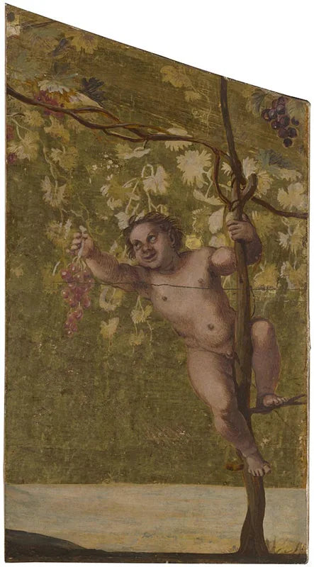 Putto üzüm toplayan - Annibale Carracci