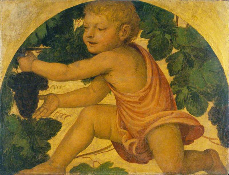 Putto üzüm toplarken - Bernardino Luini