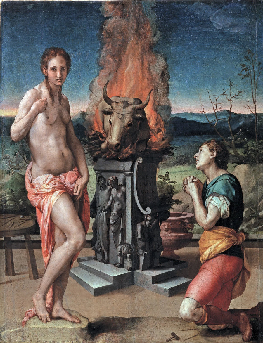 Pygmalion ve Galatea - Bronzino