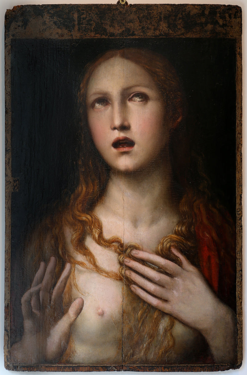 Q117777120 - Il Sodoma (Giovanni Antonio Bazzi)