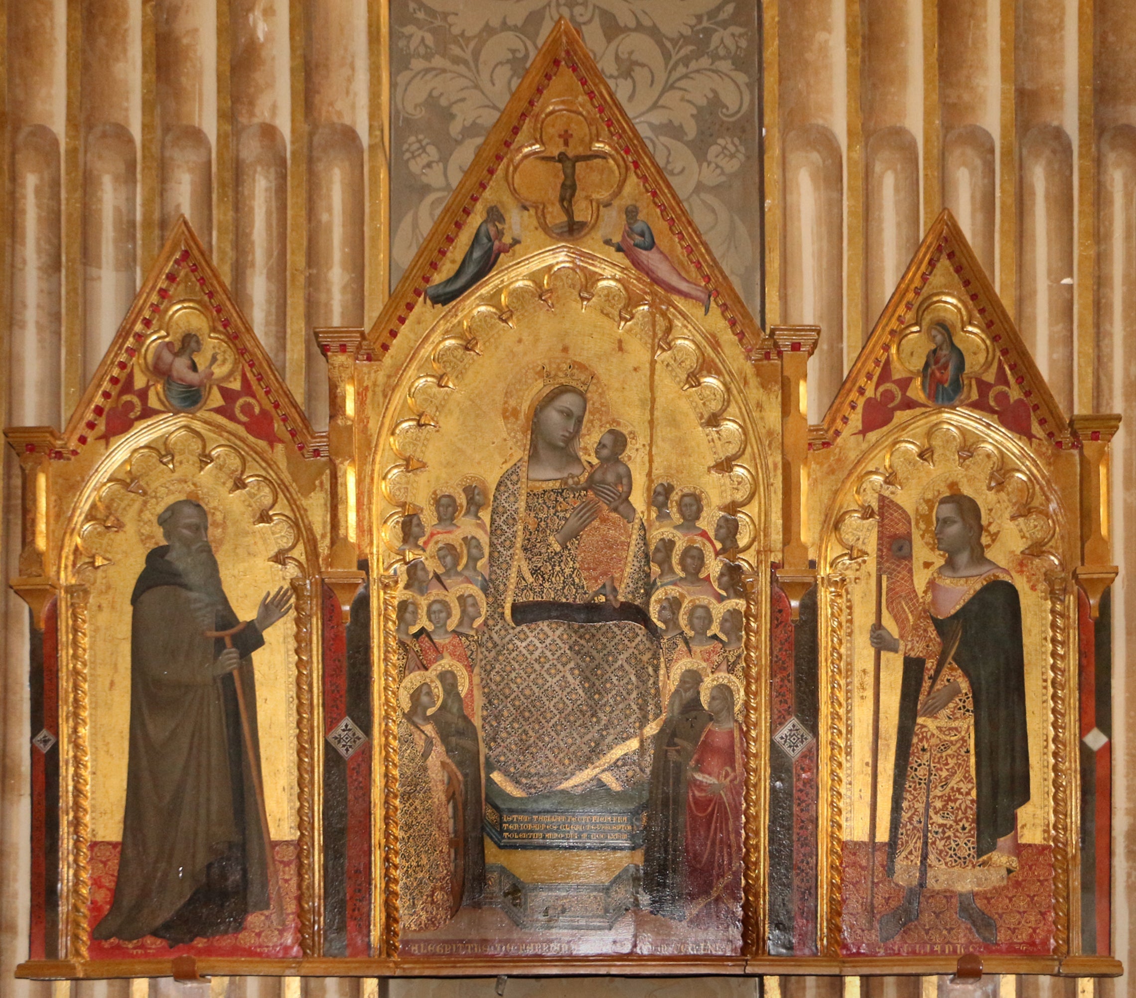 Q133861870 - Allegretto Nuzi - Alpha Reproduction