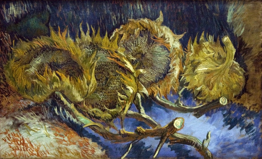 Dört solmuş ayçiçeği - Vincent van Gogh