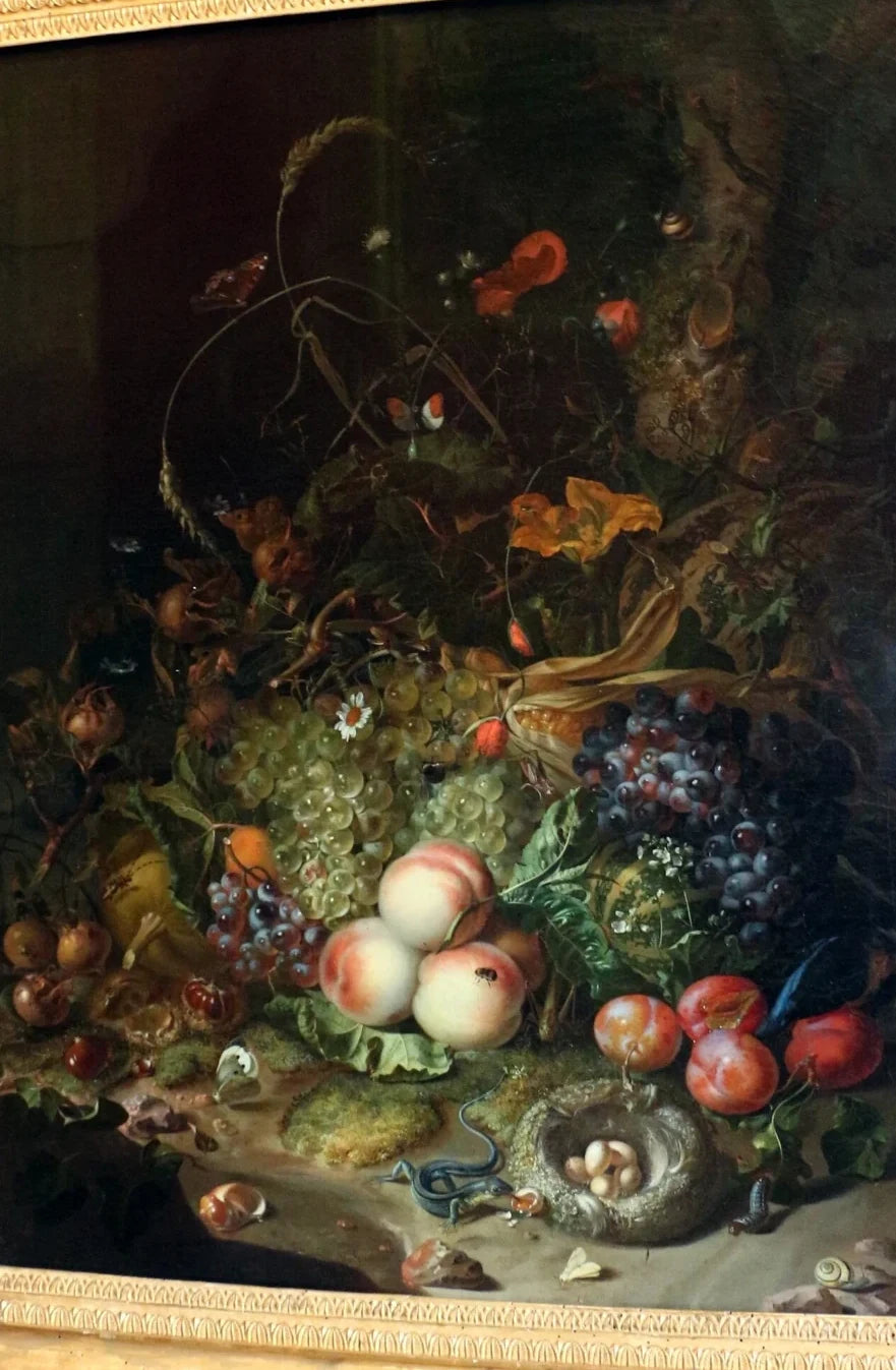 Fruits, fleurs, reptiles et insectes, peinture de Rachel Ruysch