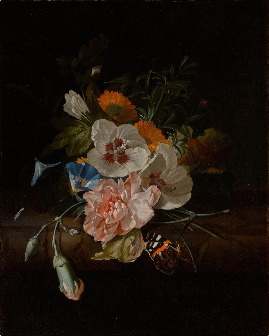 Œillets, hibiscus et volubilis sur un rebord - Rachel Ruysch