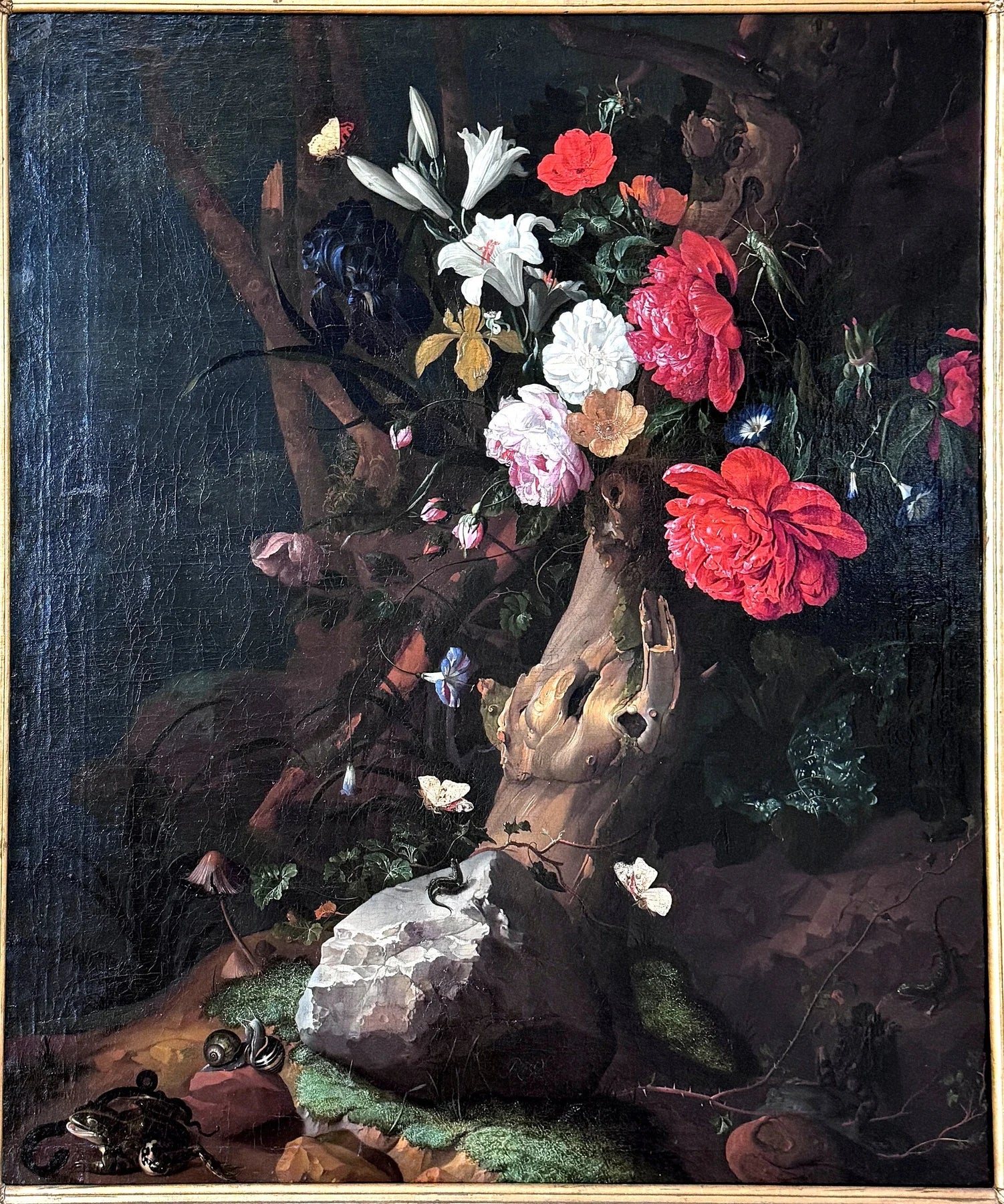 Fleurs sur un sol forestier — Kassel, peinture de Rachel Ruysch