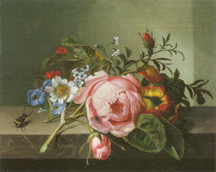 Branche de rosier avec scarabée et abeille, 1741 - Rachel Ruysch