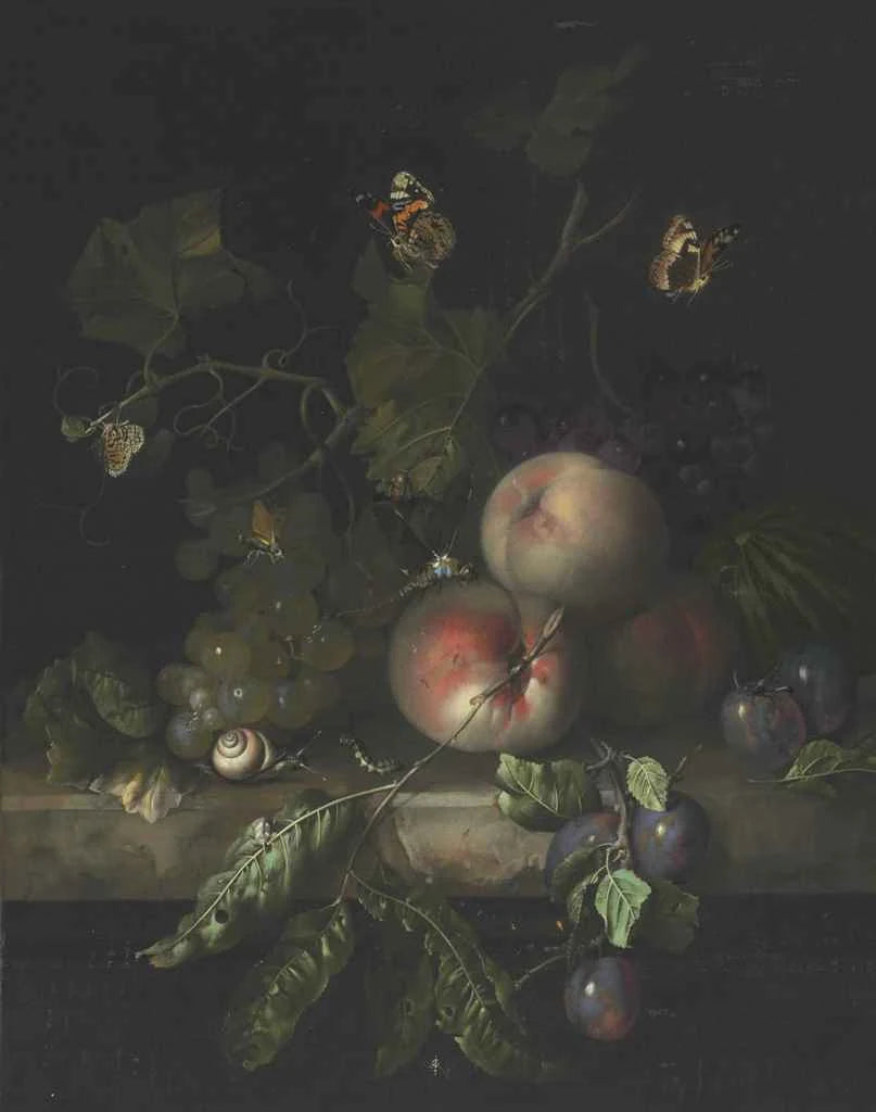 Pêches, raisins et prunes avec libellule, escargot et chenille - Rachel Ruysch