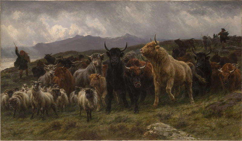 Highlands Seferi - Rosa Bonheur