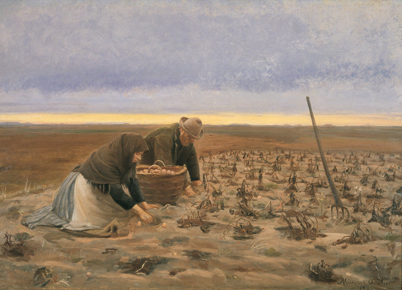 Récolte de pommes de terre - Michael Peter Ancher