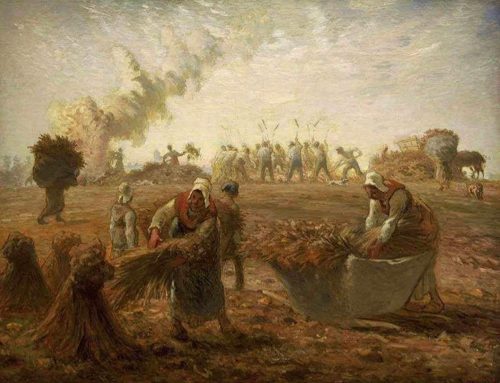 Récolte de sarrasin, été - Jean-François Millet