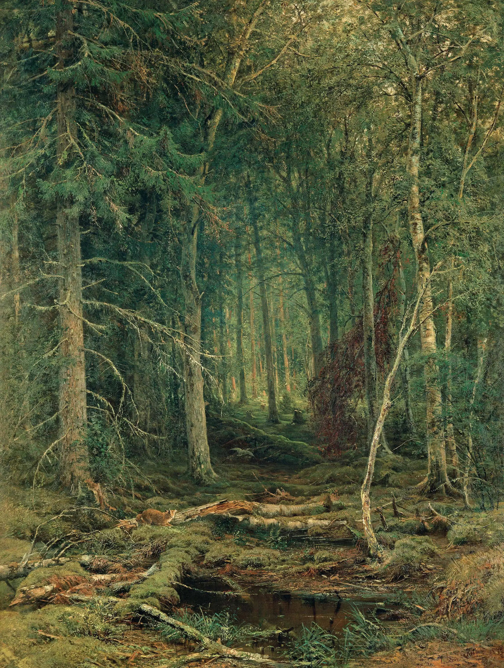 Région forestière inexploitée - Ivan Chichkine - Alpha Reproduction