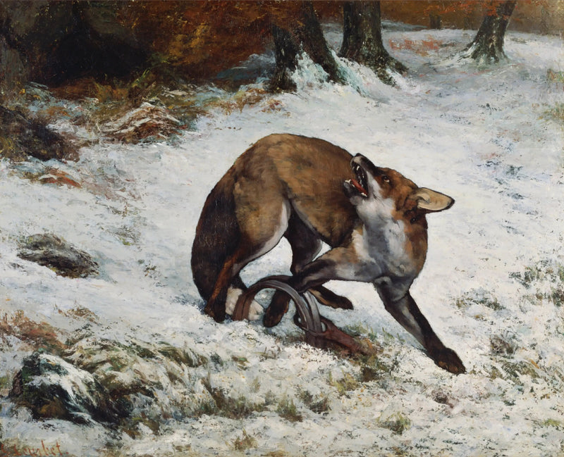 Kapan içinde yakalanmış tilki - Gustave Courbet