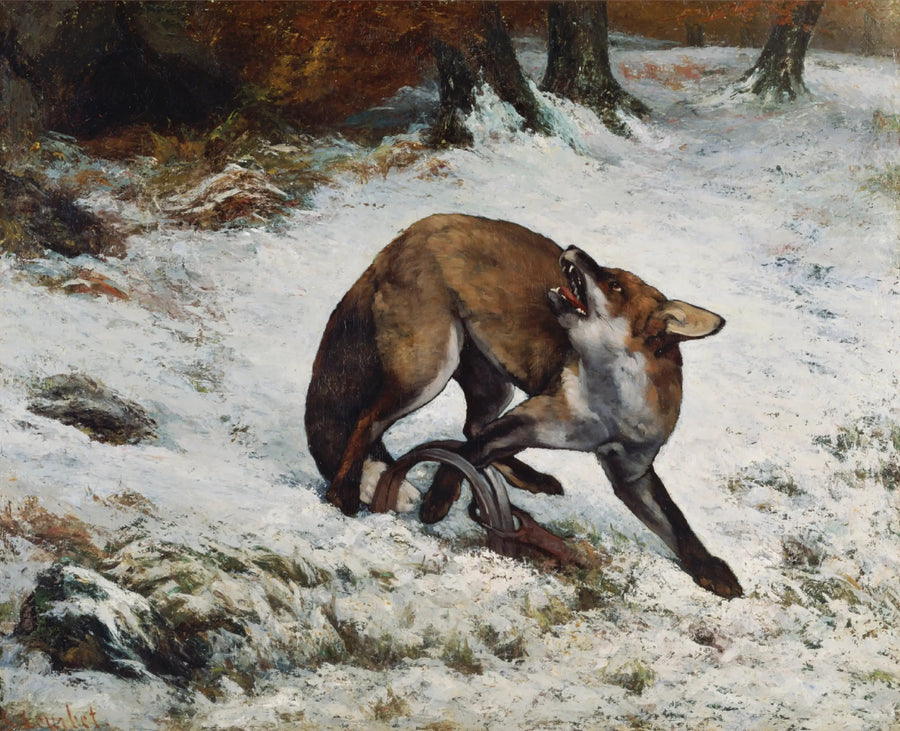 Kapan içinde yakalanmış tilki - Gustave Courbet