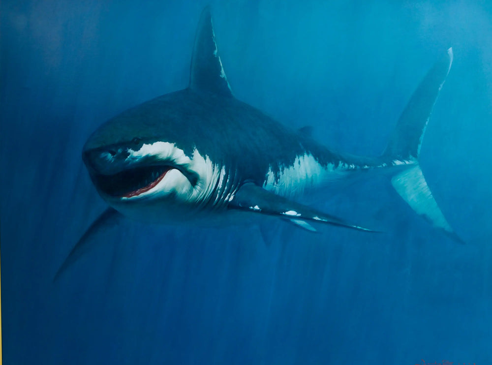 Requin | 150 x 200 cm Reproductions de tableaux à la peinture à l’huile