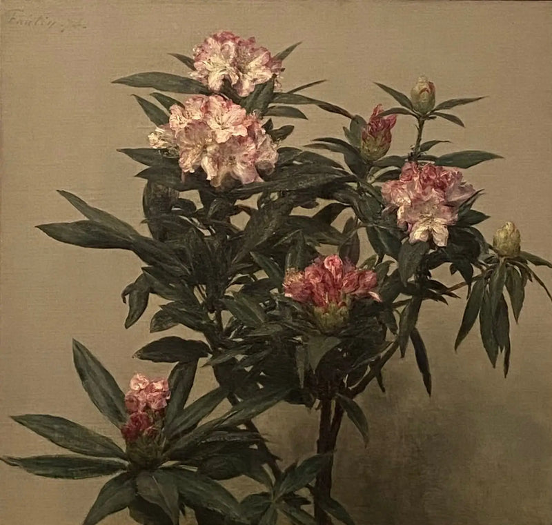 Rhododendronlar - Henri Fantin-Latour