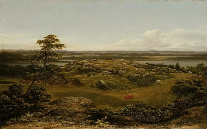 Yeni İngiltere'deki Kayalar - Martin Johnson Heade