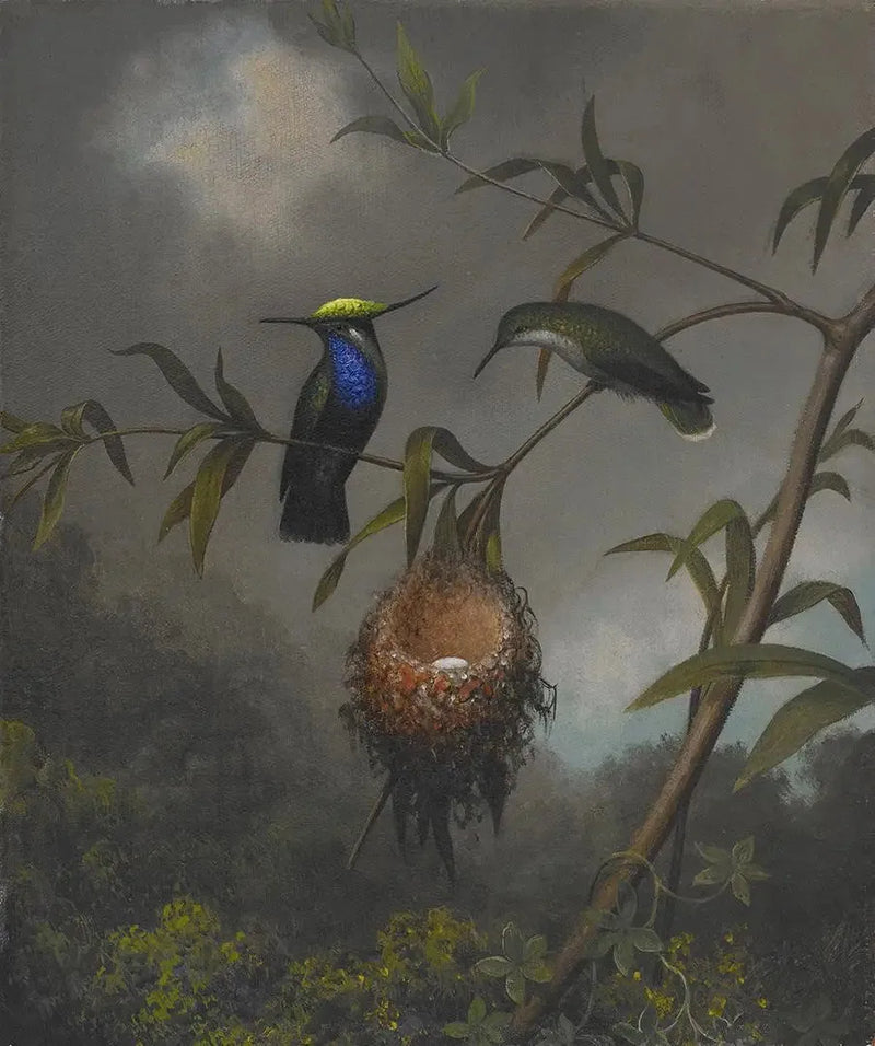 Siyah Göğüslü Serçe - Martin Johnson Heade