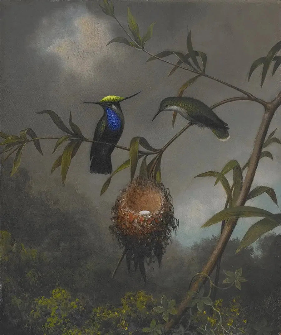 Siyah Göğüslü Serçe - Martin Johnson Heade