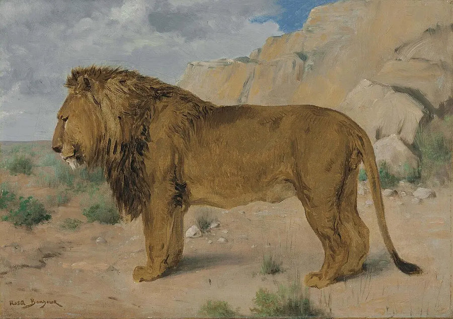 Study of a Lion - Rosa Bonheur
