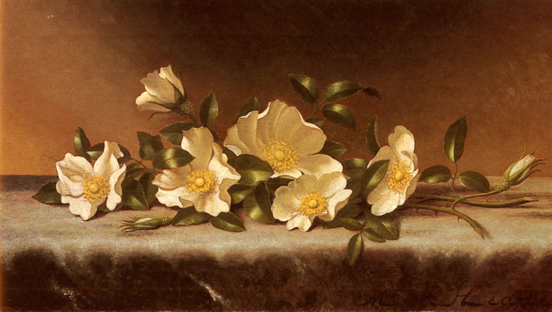 Güller Cherokee açık gri kumaş üzerinde - Martin Johnson Heade